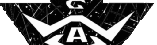 Wrong Way logo black