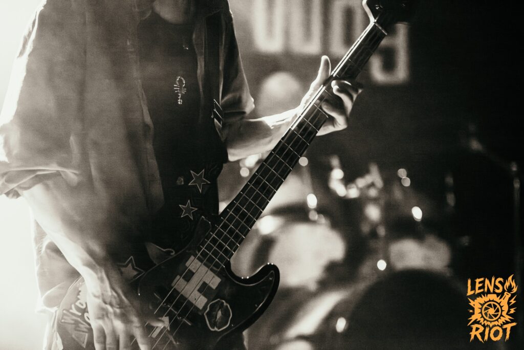 Concert image by Lens Riot