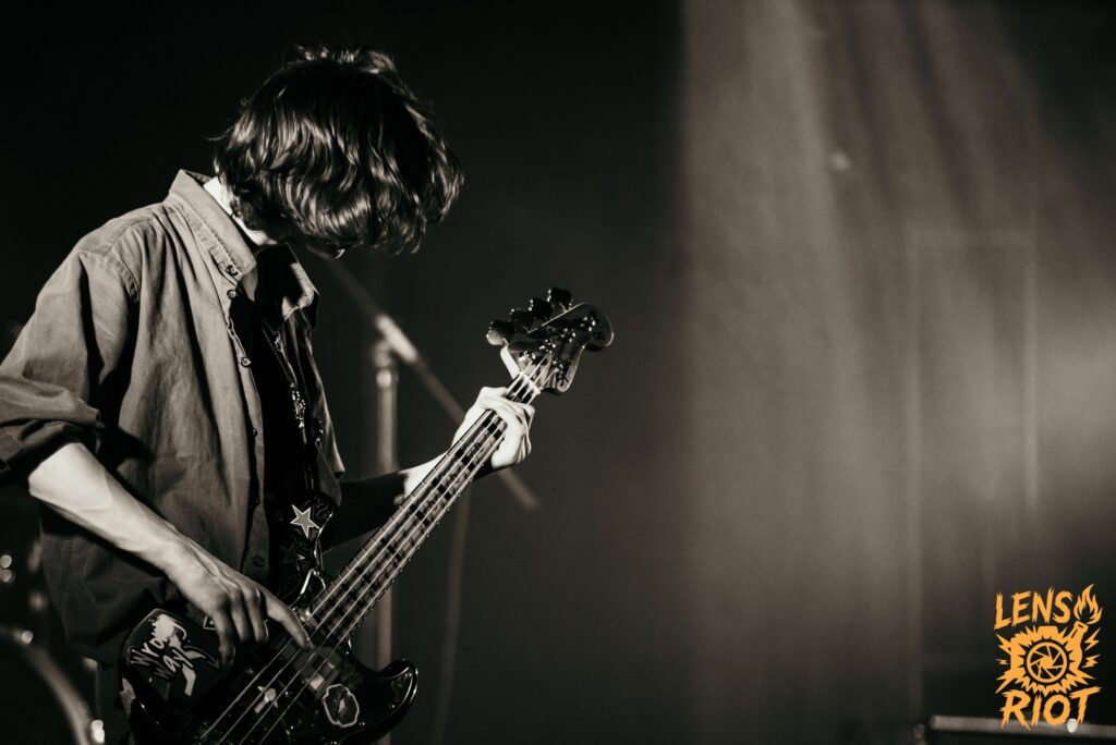 Concert image by Lens Riot
